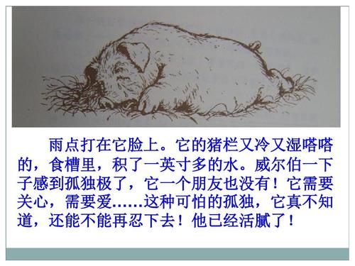 夏洛特的网络简介