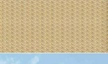 运动健康的名人名言