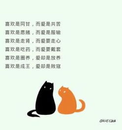 朋友留言