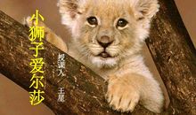 小狮子爱尔莎续写