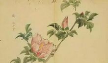 诗经：山有扶苏