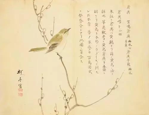 诗经：Bus鸟羽毛