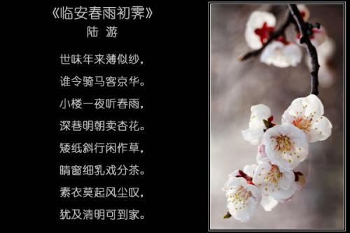 关于雨的古诗
