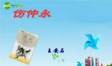 读伤仲永有感500字