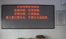 打击传销宣传标语