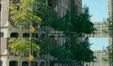 致青春·原来你还在这里经典台词