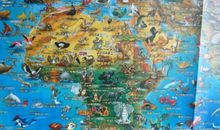 《动物世界》观后感