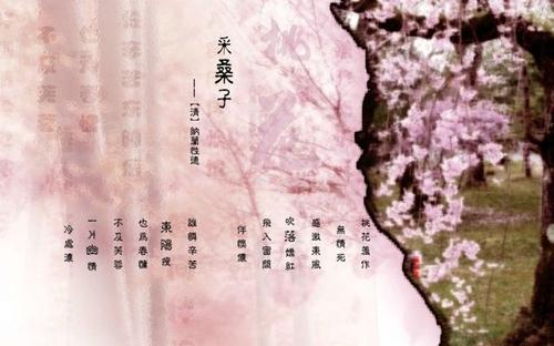美丽优雅的诗句