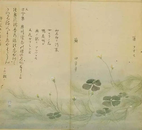 诗经：秦丽