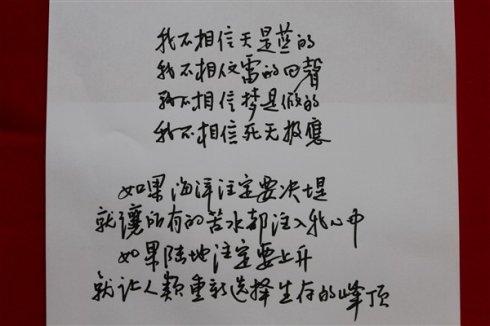 北岛：答案