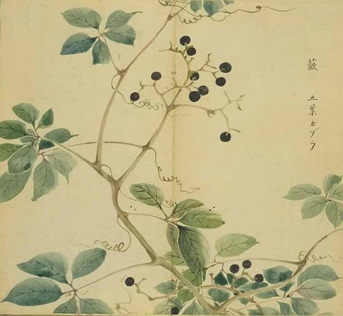 诗经：奋居经