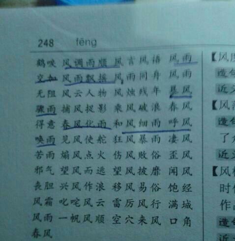 描述叶子的词
