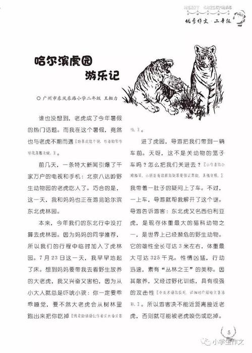 关于春节的好词和句子