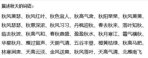 描述狐狸的词