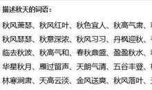 描写狐狸的词语