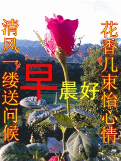 祝福朋友