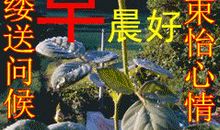 给朋友祝福的话