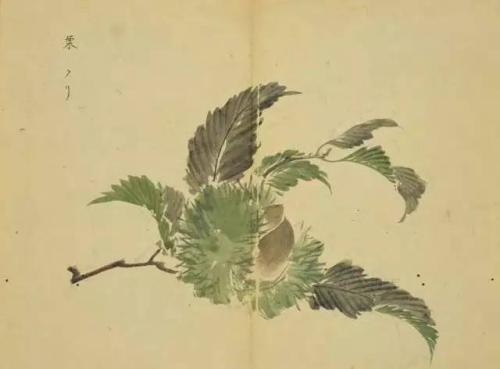 诗经：我们都·你我们都都