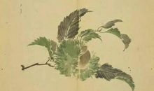 诗经：杕杜·有杕之杜