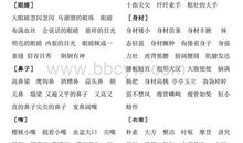 描写人物外表的成语