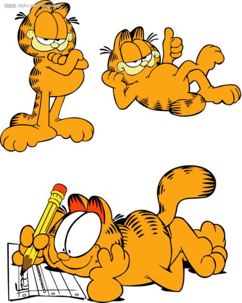 加菲猫行情