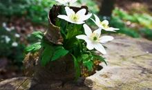 行走江湖，你必须要有一样拿得出手！