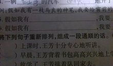 描写风的句子100字