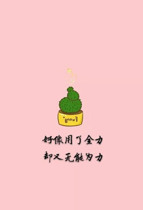 我什么都没有，为什么不再次失去它