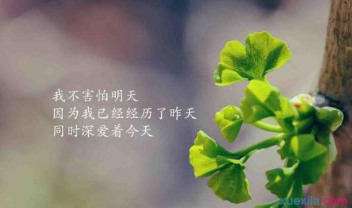 表达生活挫败感的句子