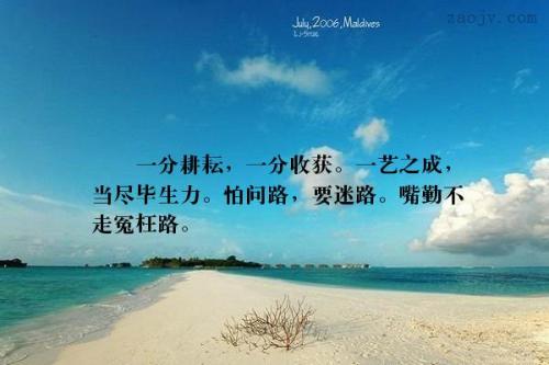 关于丰收之美