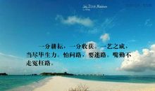 关于收获的美段