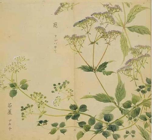 诗经：蒋仲梓