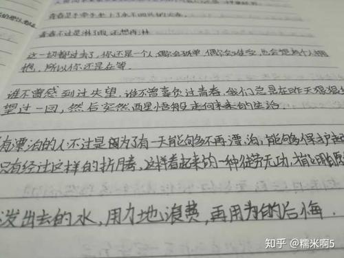 适合摘录的句子
