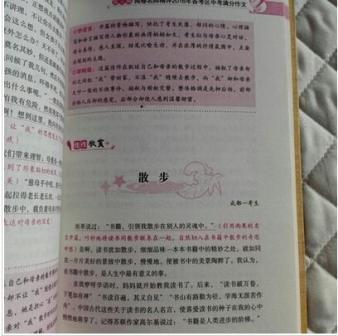 漂亮的句子