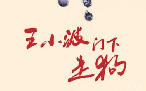 王小波的名言