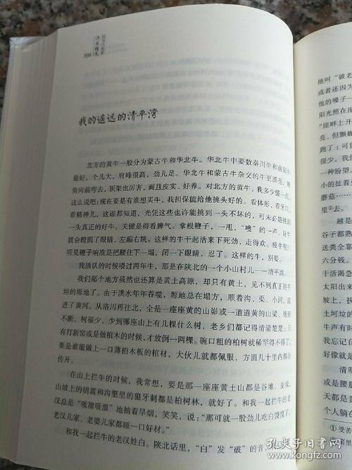 史铁生：先知
