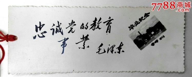 职业句子