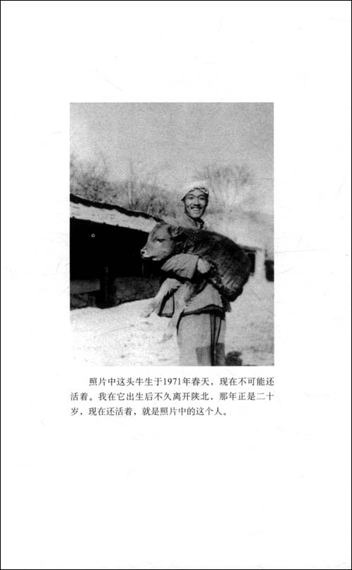 史铁生：鸽子