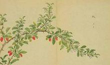 诗经：扬之水·扬之水