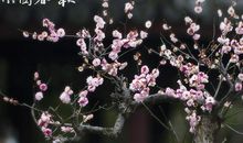 可以改变你一生的五句话