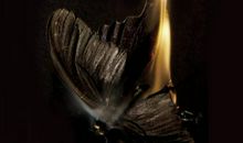 飞蛾扑火的歇后语