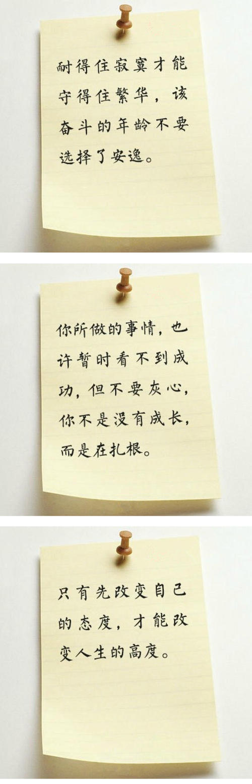 关于风的声明