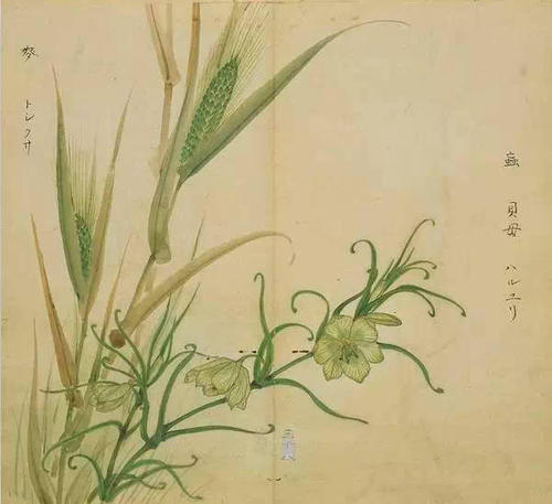 诗经：东门