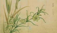 诗经：东门之墠