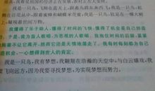 作文开头优美句子