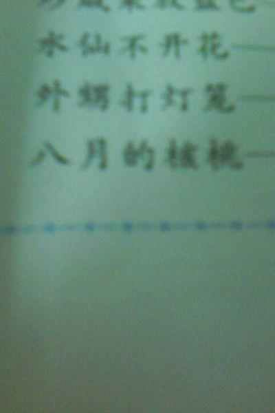 侄子打灯笼