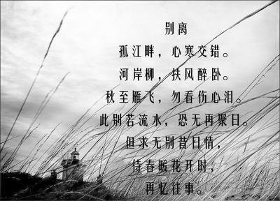 初中毕业句子