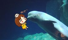 海洋王国一日游作文