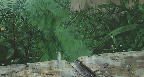 雨诗