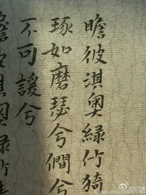 诗经：齐敖
